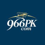 966pak Game